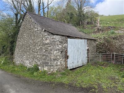 Picture 19